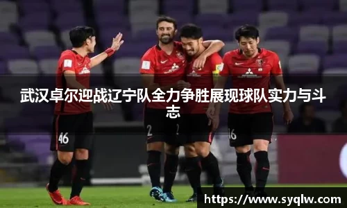 武汉卓尔迎战辽宁队全力争胜展现球队实力与斗志